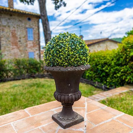 Un Petit Paradis Castiglione della Valle Kültér fotó