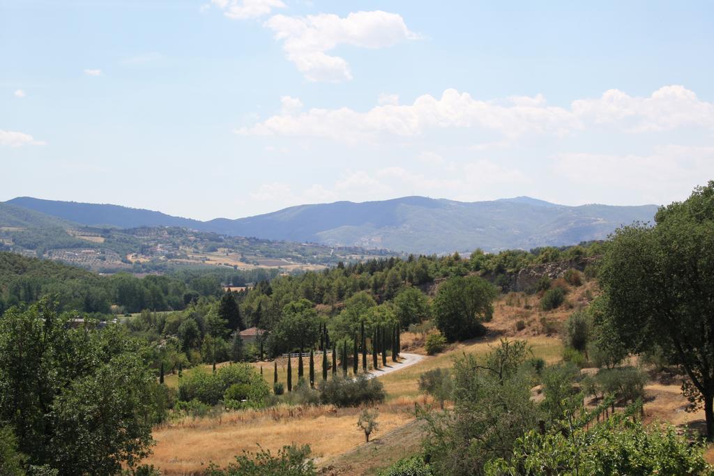 Un Petit Paradis Castiglione della Valle Kültér fotó